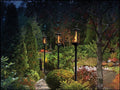 Garden pathway with illuminated lanterns at night